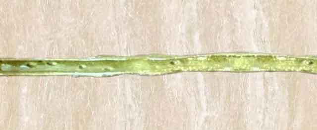 美缝剂什么牌子好 美缝剂什么牌子好