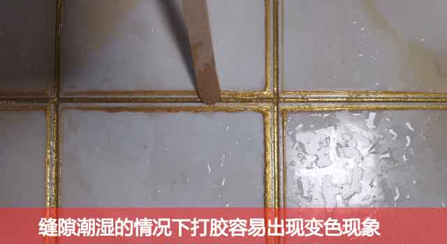 瓷砖不做美缝,导致黑边效果 瓷砖不做美缝,导致黑边效果