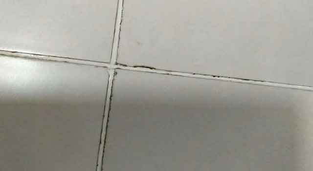 瓷砖不做美缝,导致黑边效果 瓷砖不做美缝,导致黑边效果